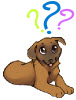 Logic Puzzles